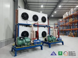 Perbandingan Tipe Mesin Cold Storage: Mana yang Paling Sesuai untuk Bisnis Anda?